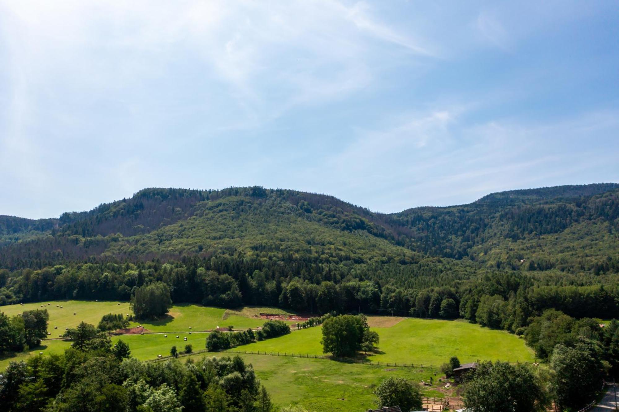 Domek Pod Szczelincem Radkow Dış mekan fotoğraf
